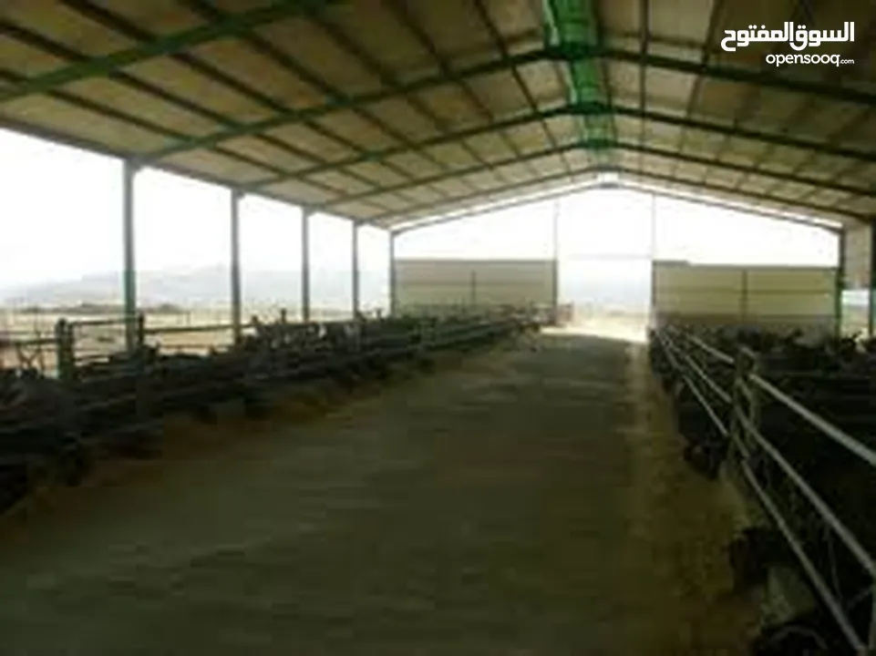 مخازن مساحه 500 متر ويوجد ساحه بالخارج واسعه ويوجد أيضا مساحه 2000متر مربع مسكره لتخزين ان طلب الامر