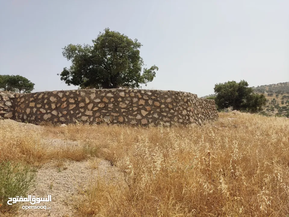 اجمل مناطق العالوك الحداده ثلاثة واجهات حرش غابة بلوط ومشغوله ومسيجه فعلا مميزه جدا