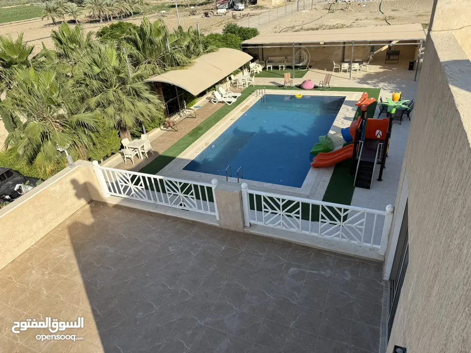 مزرعة نخيل مجهول مثمر ومنتج  + شاليه مودرن للبيع بأجمل مناطق الغور بالقرب من سد الكرامة 60 ك من عمان