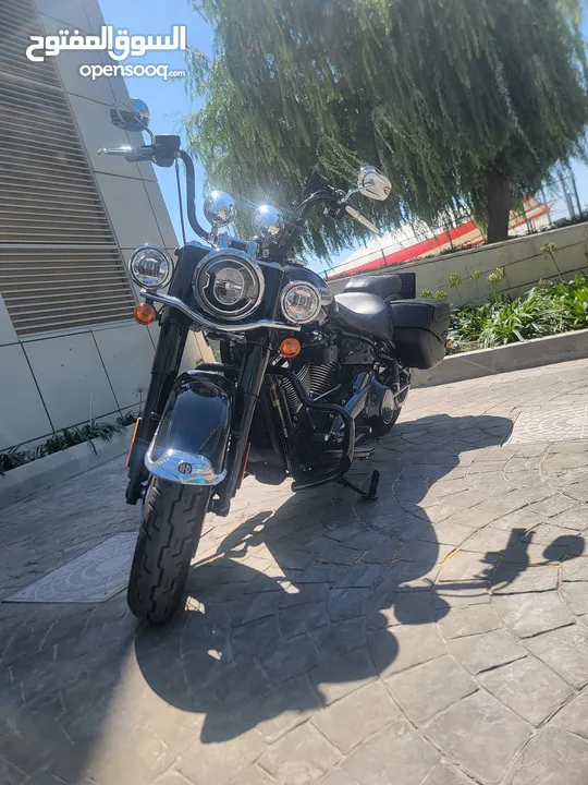 HARLEY Davidson Classic Heritage