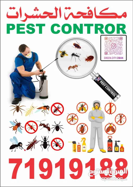 شركة بقعة الخضراء لخدمات مكافحة الحشرات  مكافحة الرمة مكافحة الصراصير .الفار ، بق فراش Pest Control