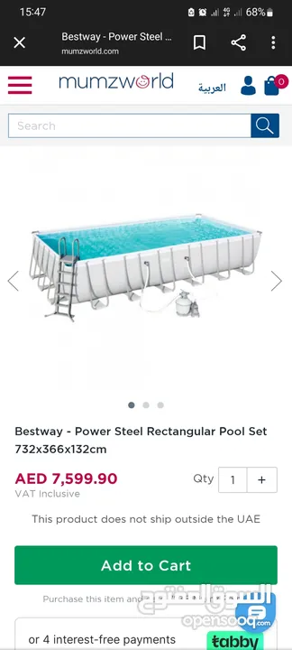 Bestway Pool (7.32 x 3.66 m)