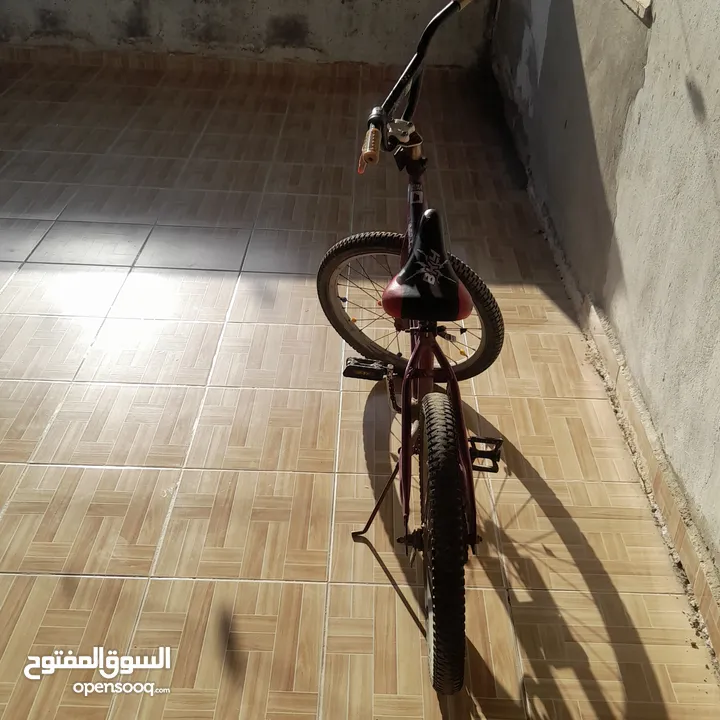 بسكليت نمرة 20 للبيع