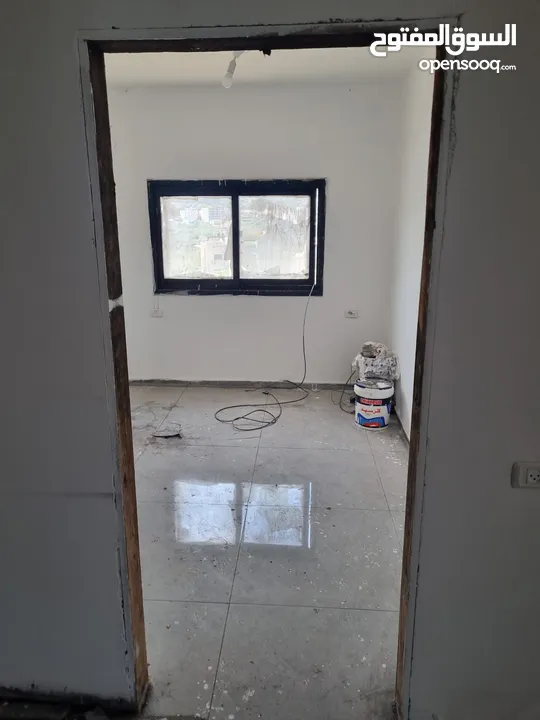 رضا ابو بكر