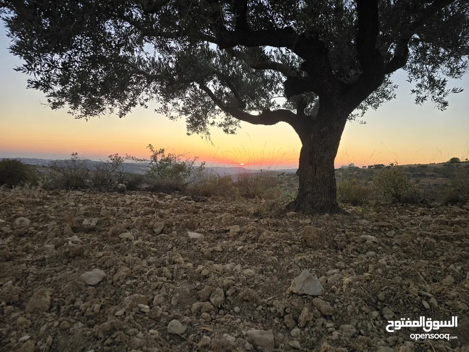 ارض بمساحه 3 دنم بكوبر اطلاله غربيه للأبد اوول كوبر  بالقرب من المسجد الكبير كوشان