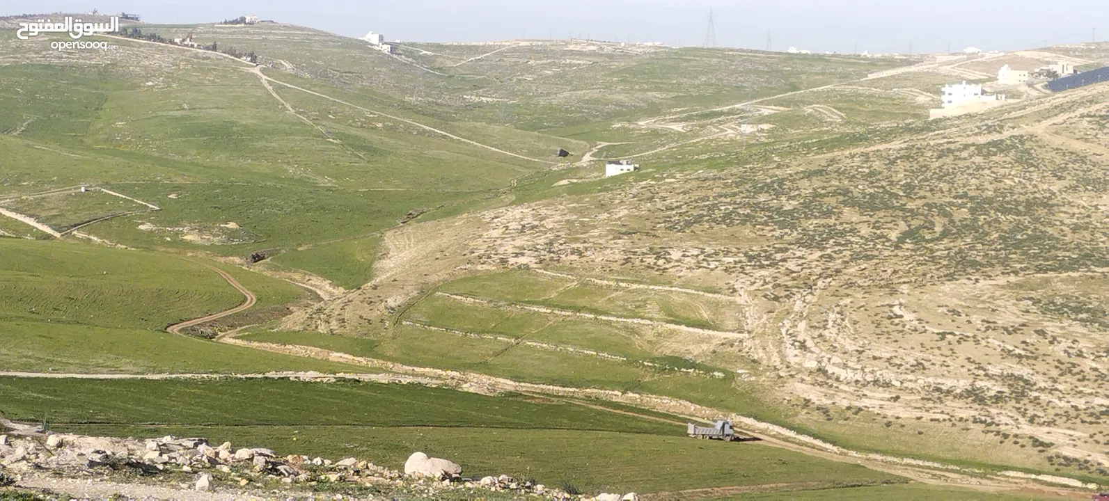 زينات الربوع قرب الترخيص