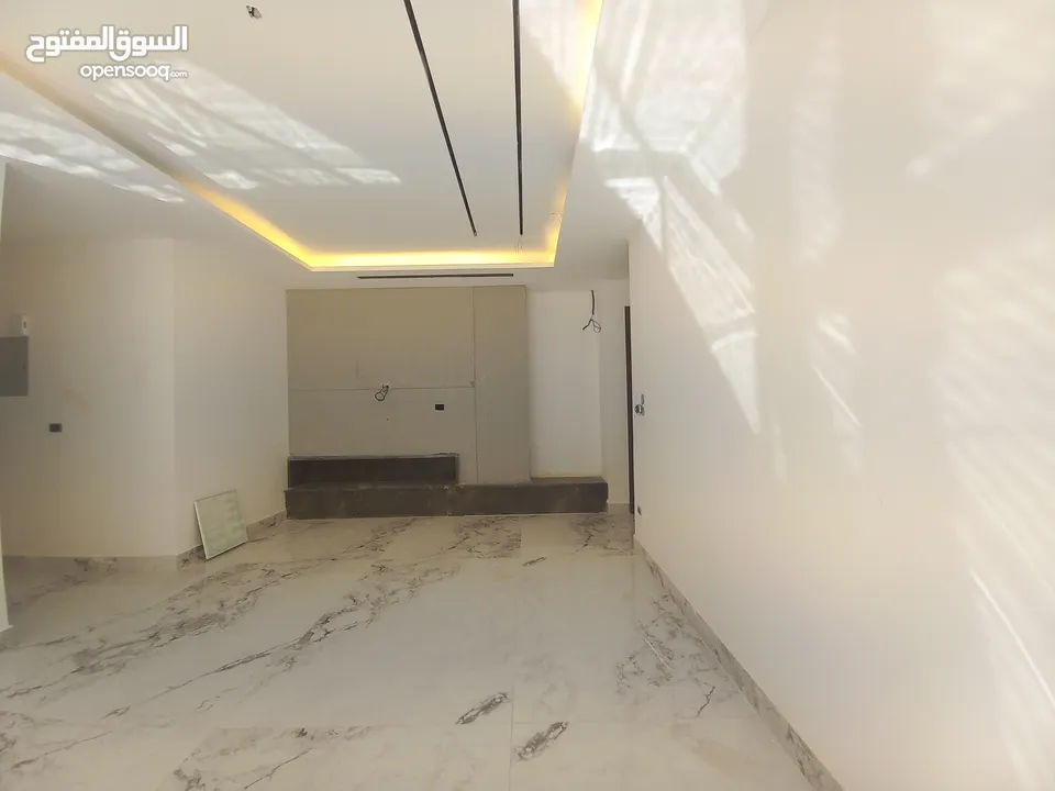 Unfurnished Apartment For Rent In 4th Circle  ( Property 35302 )-174813127