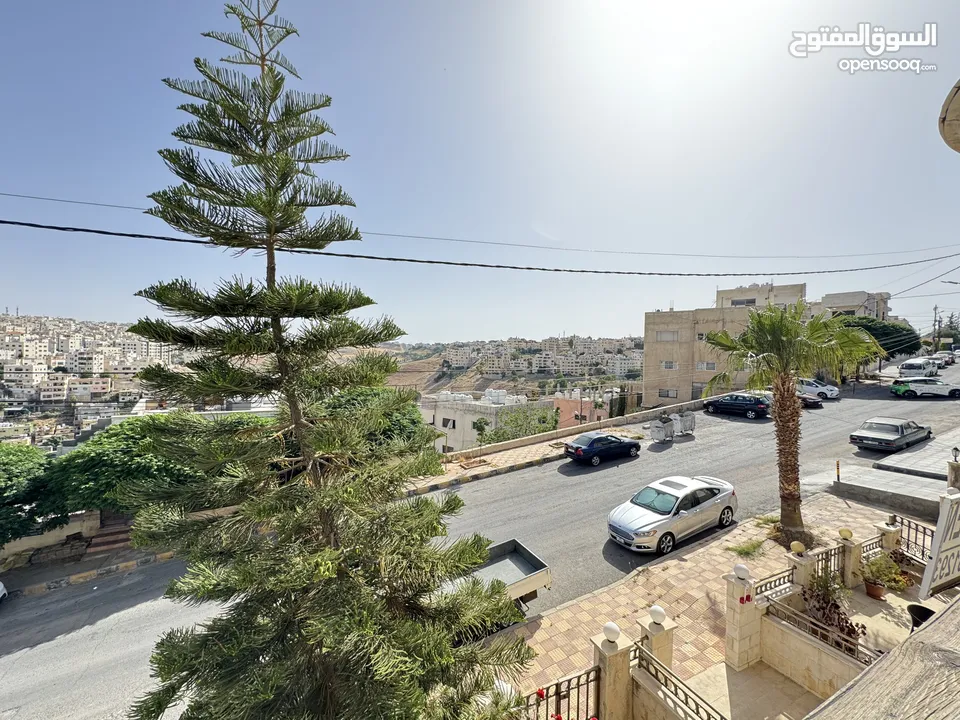 Three bedroom with A Beautiful View for Rent in Abdoun ( Property 43136 )-174824995