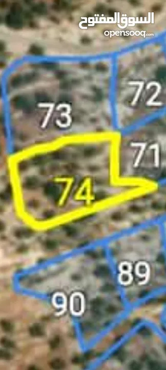 دونم ارض للبيع - بيت ريما