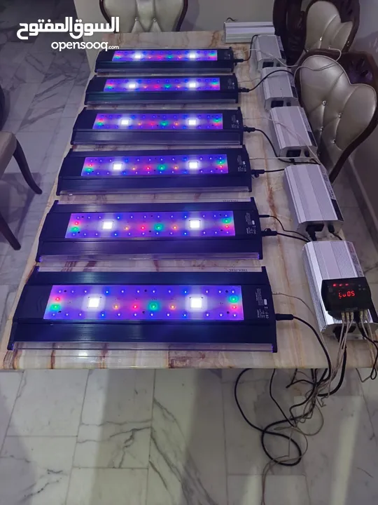 انارة ZetLight ماڤن 1 للبيع