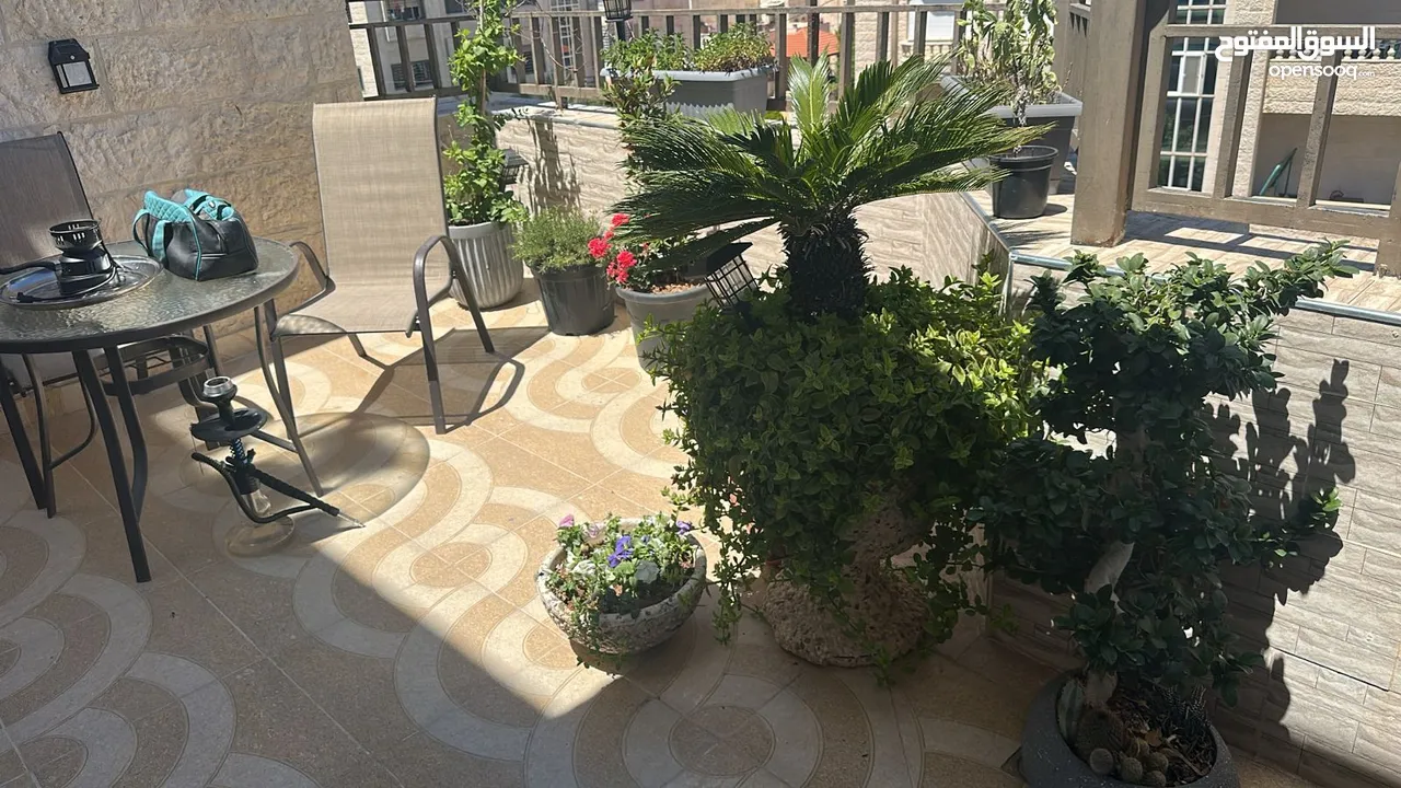 Apartment For sale in 7th circle  ( Property 31188 )-174782729
