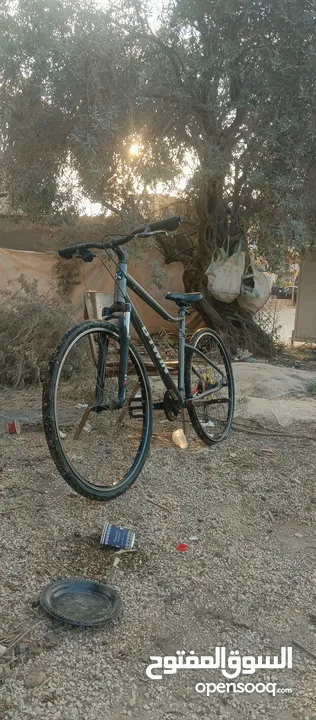 بسكليت عادي سباقات غيارات شغاله سعر﴿150﴾