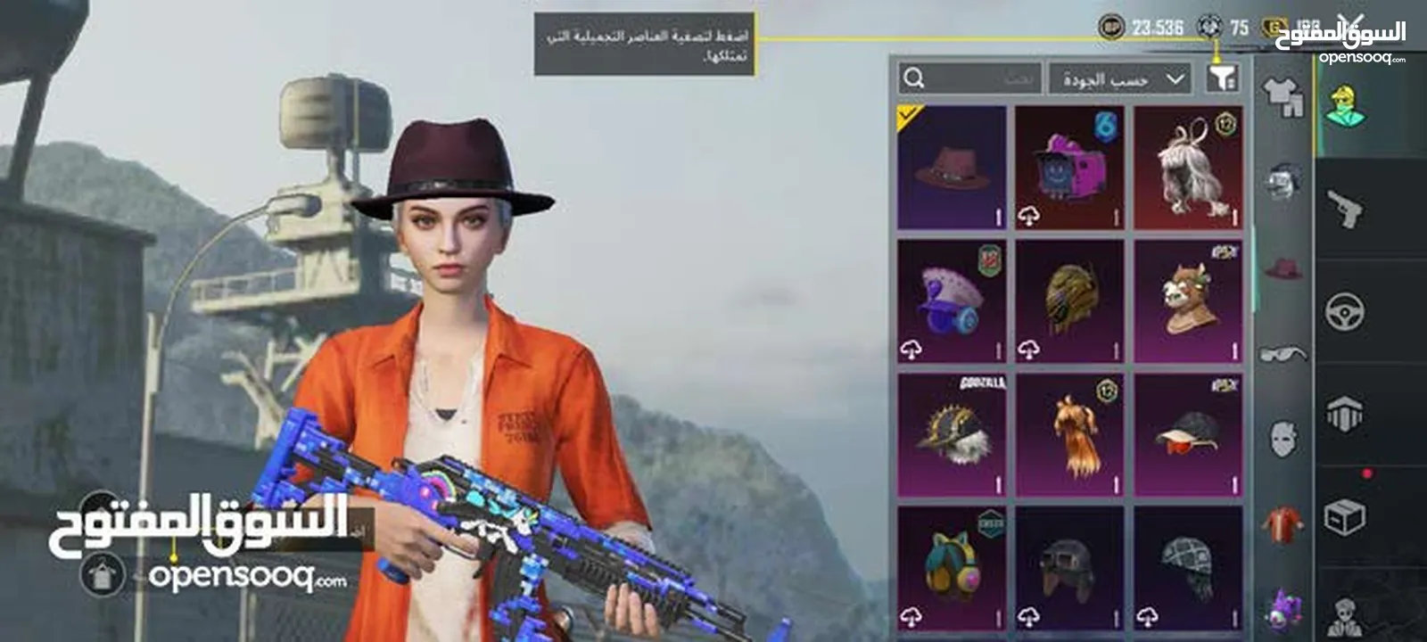 حساب ببجي بسعر مغري