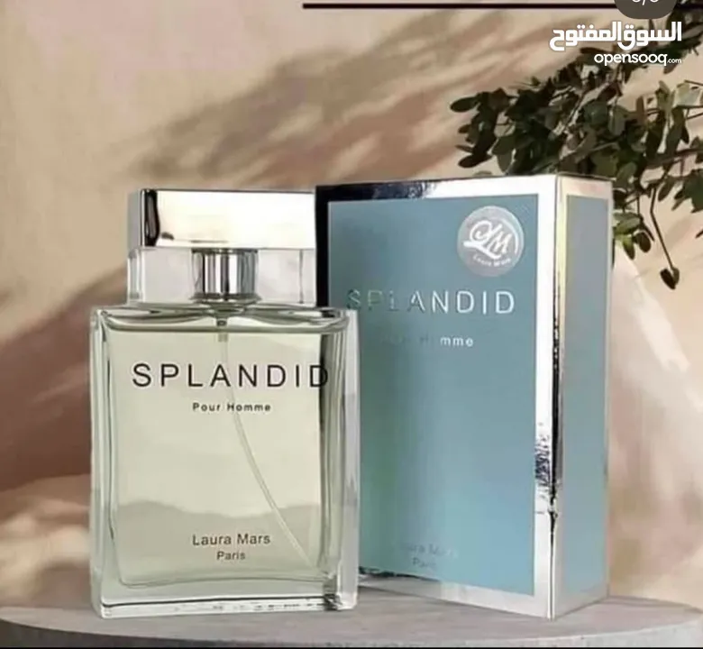 عطر سبلانديد بور هوم للرجال 100مل