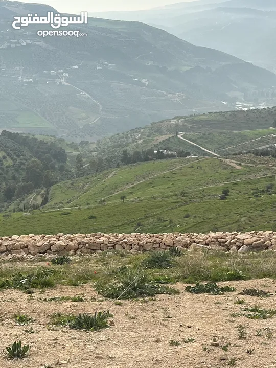 ارض للبيع في جرش مشروع عنيبه 17قطعة 3500متر بقوشان مستقل واصل الخدمات كامله اطلاله بنوراما مميزه جدا