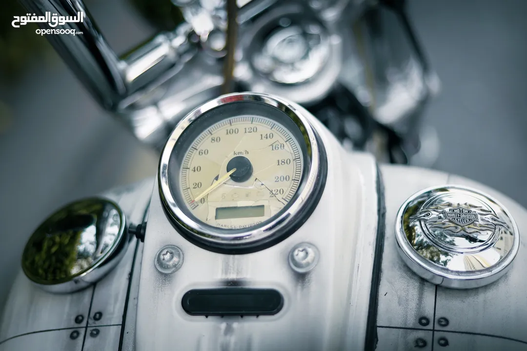 HARLEY DAVIDSON STREET BOP IN EXCELLENT CONDITION