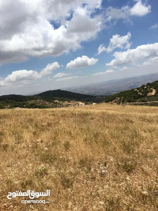 أرض ممتازة في جرش للسكن و للزراعة بقرب أحراش الدولة و سعر مغري  للمزيد من المعلومات اقرأ الوصف