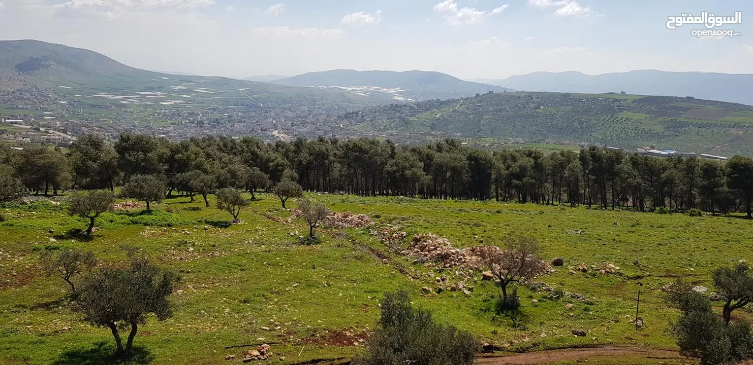 فيلا فاخرة على أرض 2000م تصنيف أ A, طابو – زاوية شارعين + مجلس ضيوف مستقل في طوباس