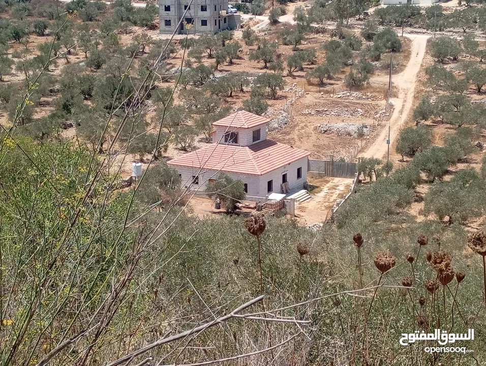 ارض سكنيه موقع مناسب جدا