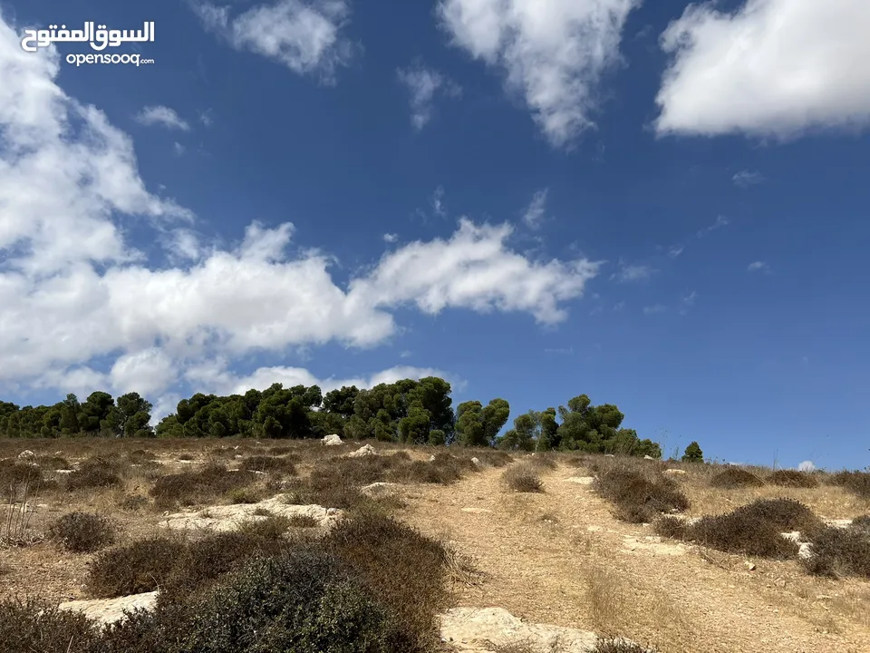 فرصه استثماريه جميله ارض للبيع في الكمشه جميله ومطله ومرتفعه