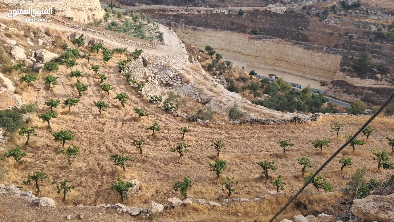 أرض في بيت كاحل مطلة على شارع واد القف