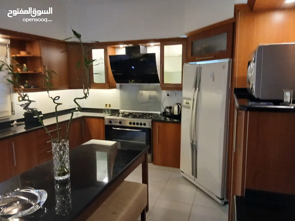 شقه طارق ارضي
