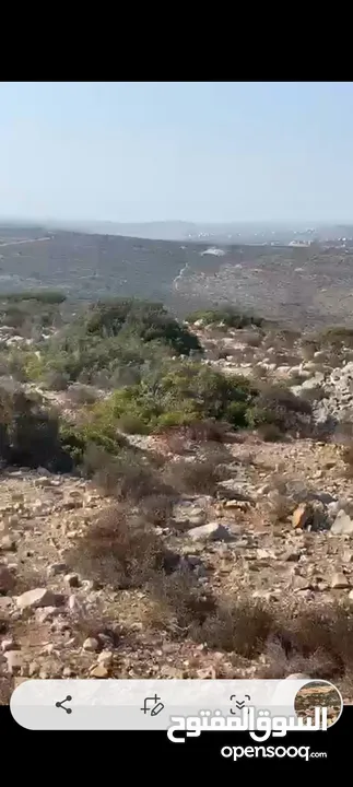 ارض للببع في بتونيا للبيتاء اسكان