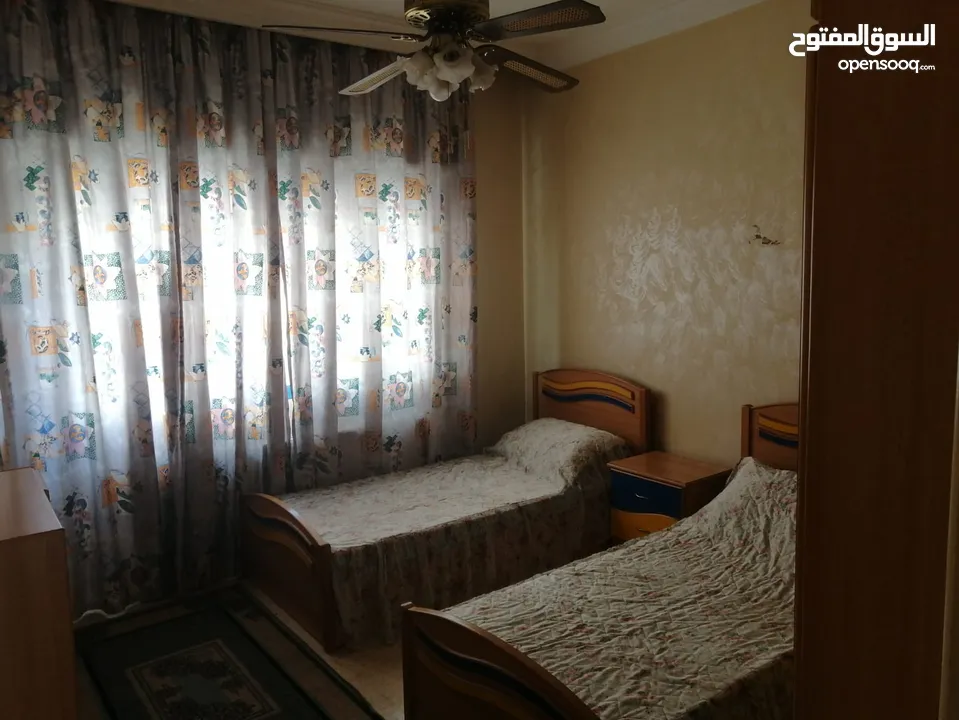 شقة مفروشه للإيجار – خلف الجامعه- ضاحية الرشيد