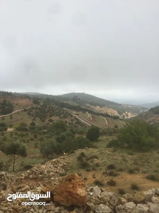 أرض ممتازة في جرش للسكن و للزراعة بقرب أحراش الدولة و سعر مغري  للمزيد من المعلومات اقرأ الوصف