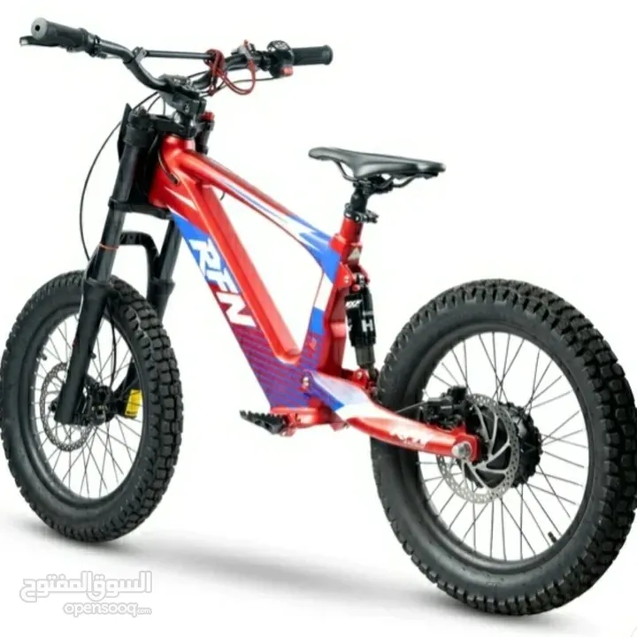 ebike EVO RACING RFN