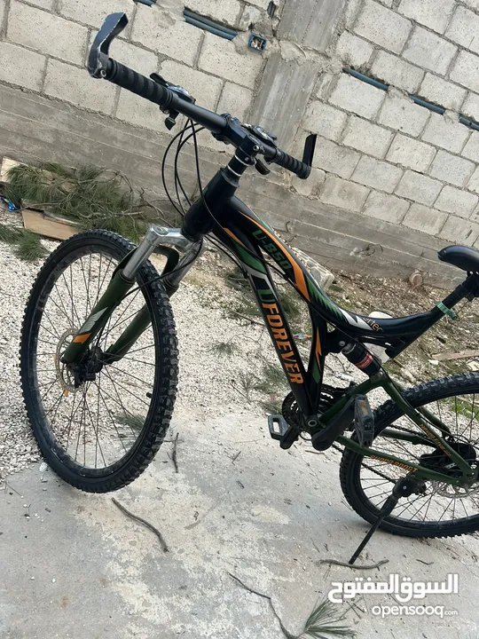 بسكليت جبلي للبيع