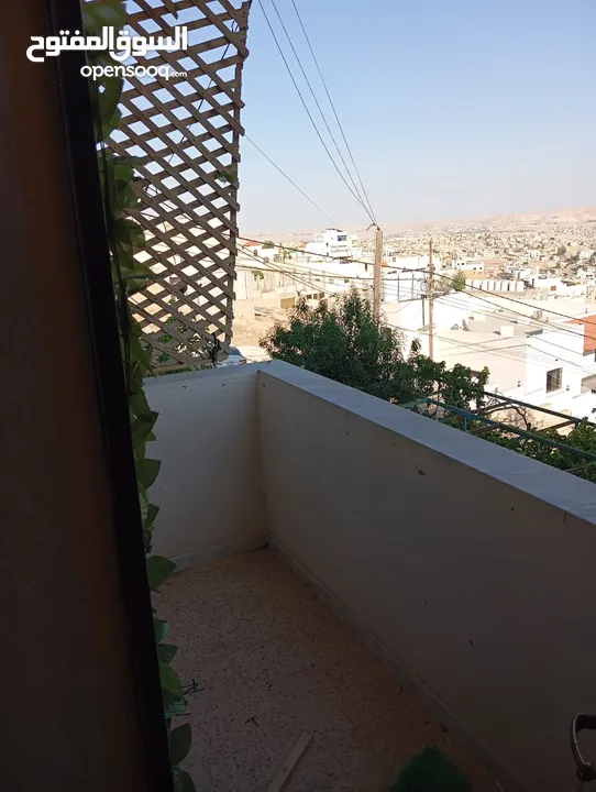 شفة للايجار
