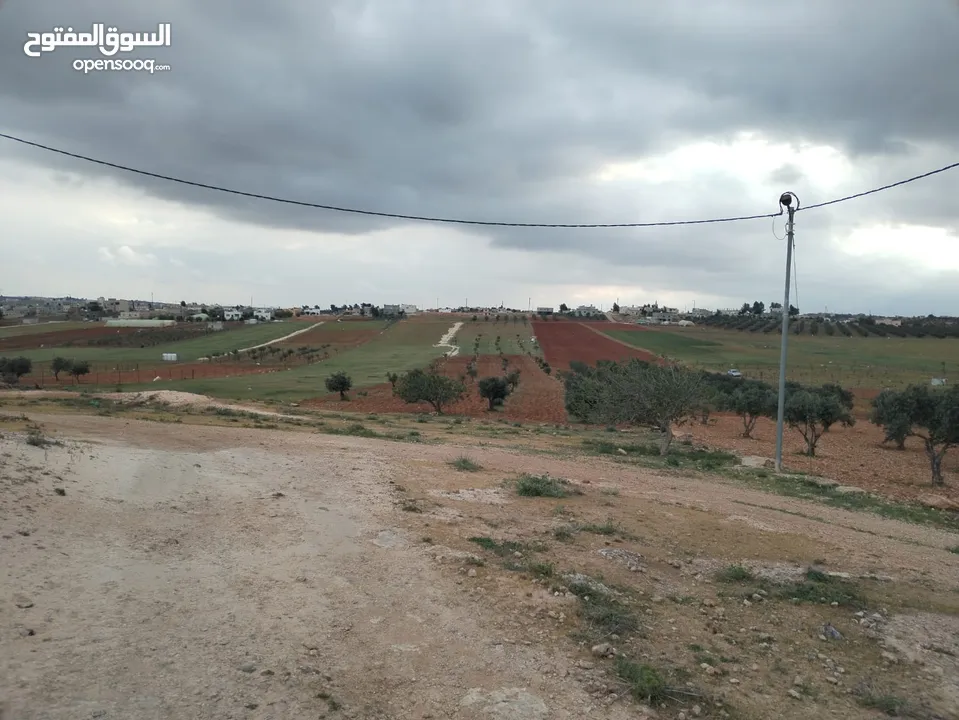 6800م للبيع واصل جميع الخدمات مزروع زيتون فيها بئر جمت ماء  كامل القطعه من المالك