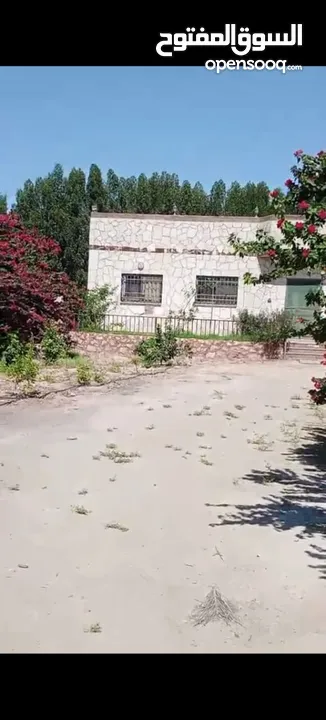 مزرعة للبيع في الكرامة