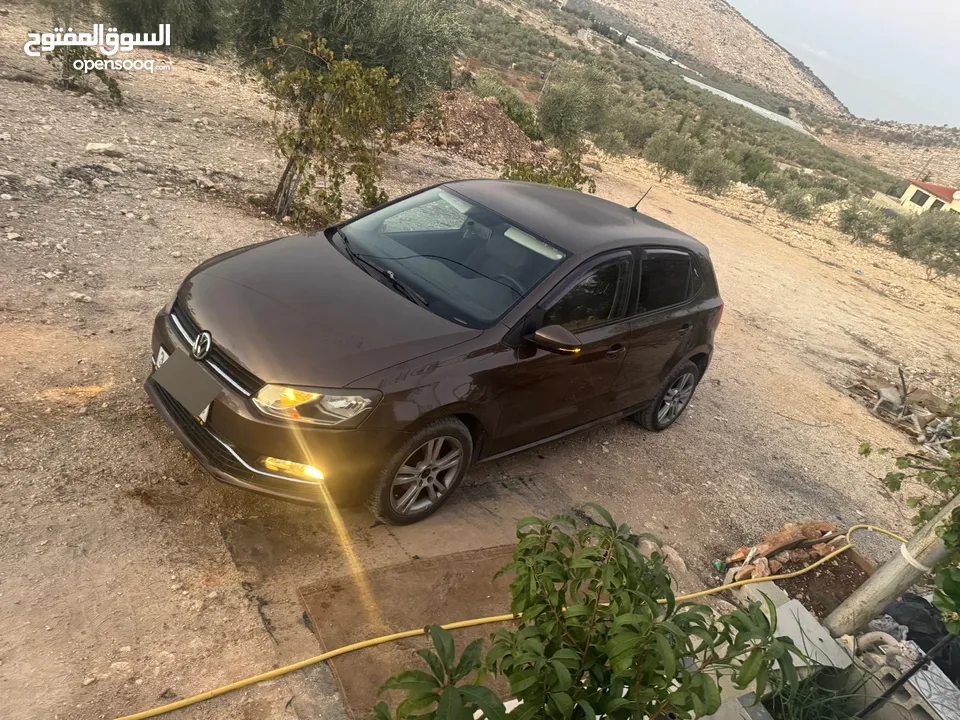 بولو جير عادي الحبة النادرة باللون و الجمال و الفحص