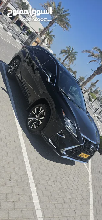 اکزس RX350