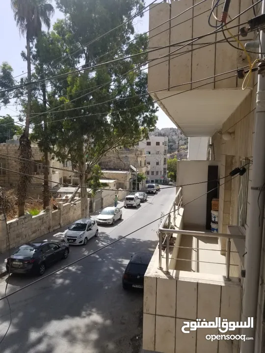 Furnished Studio to Rent 75sqm ( Property 19230 )-174585036