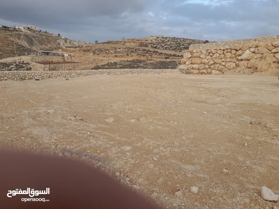 1800م ارض في خرسة دورا الخليل