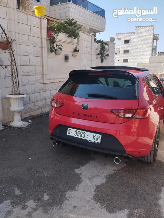 سيت ليون فل الفل