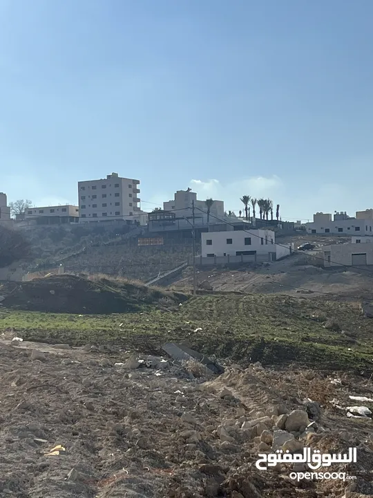ارض مميزه بسعر مغري بجانب الجبيهه مباشرهضمن اراضي صافوط حوض ام مرهف الجنوبي وبسعر مغري جددا