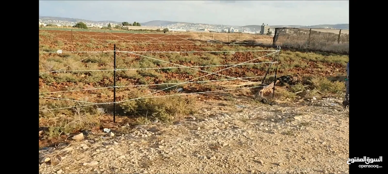 الظاهر لتسييج و تشيييك الاراضي الزراعية و التجارية