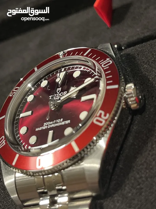 Tudor Black Bay 58 all burgundy