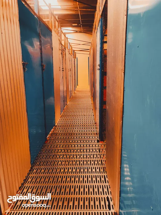 Self Box Storage Warehouse