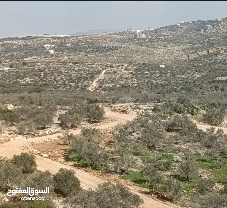 قطعة ارض 1728 متر كوشان طابو في كفرعبوش ، تنازل من المالك مباشرة