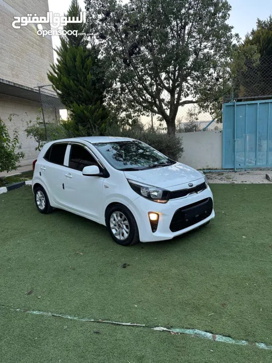 محمد النتشه