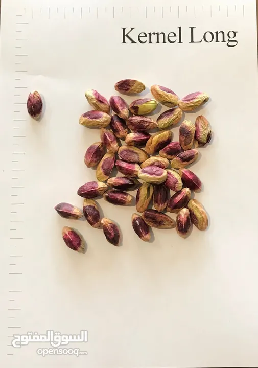 Pistachio trading house to sell the best quality