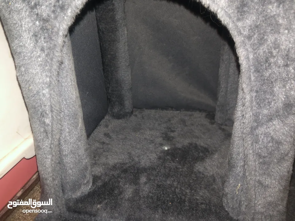 منزل للقطة