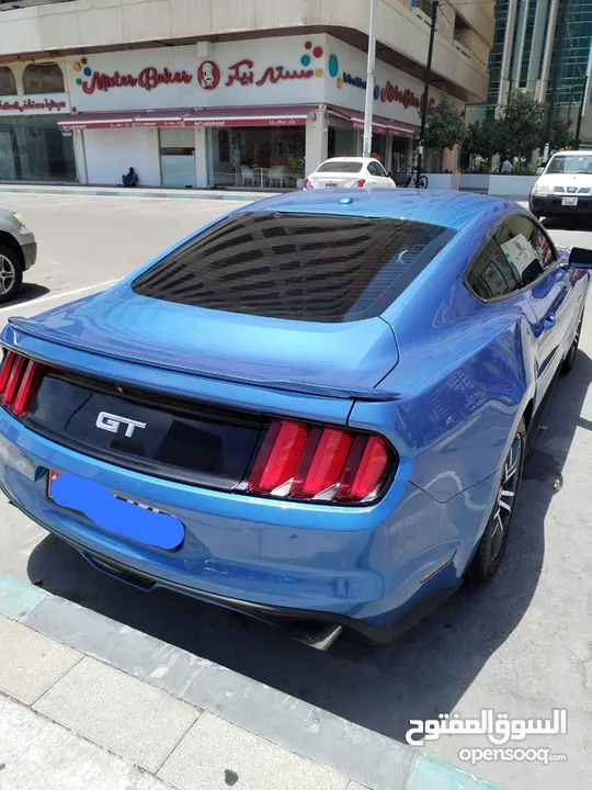 2015 Mustang GT Manual in very good condition