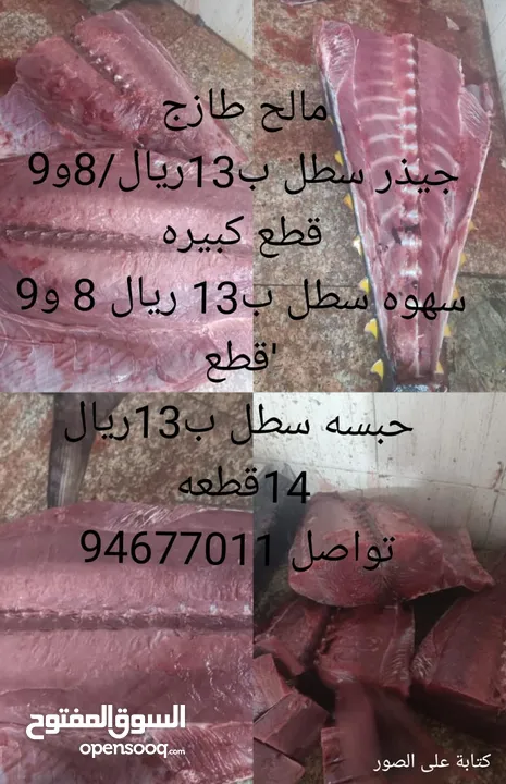 مالح جيذر وحبسه طازج