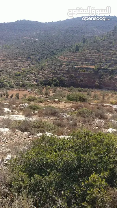 ارض للبيع طابو أ سلطة من المالك مباشرة